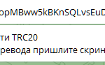 33333-1.png