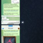 8231-1.jpg